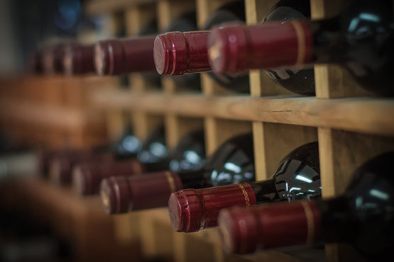 wino