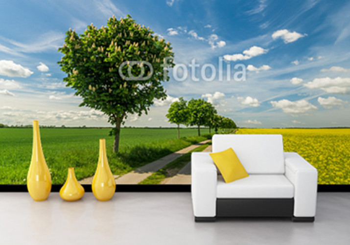 Fototapeta
